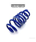 Rear Axle Spring